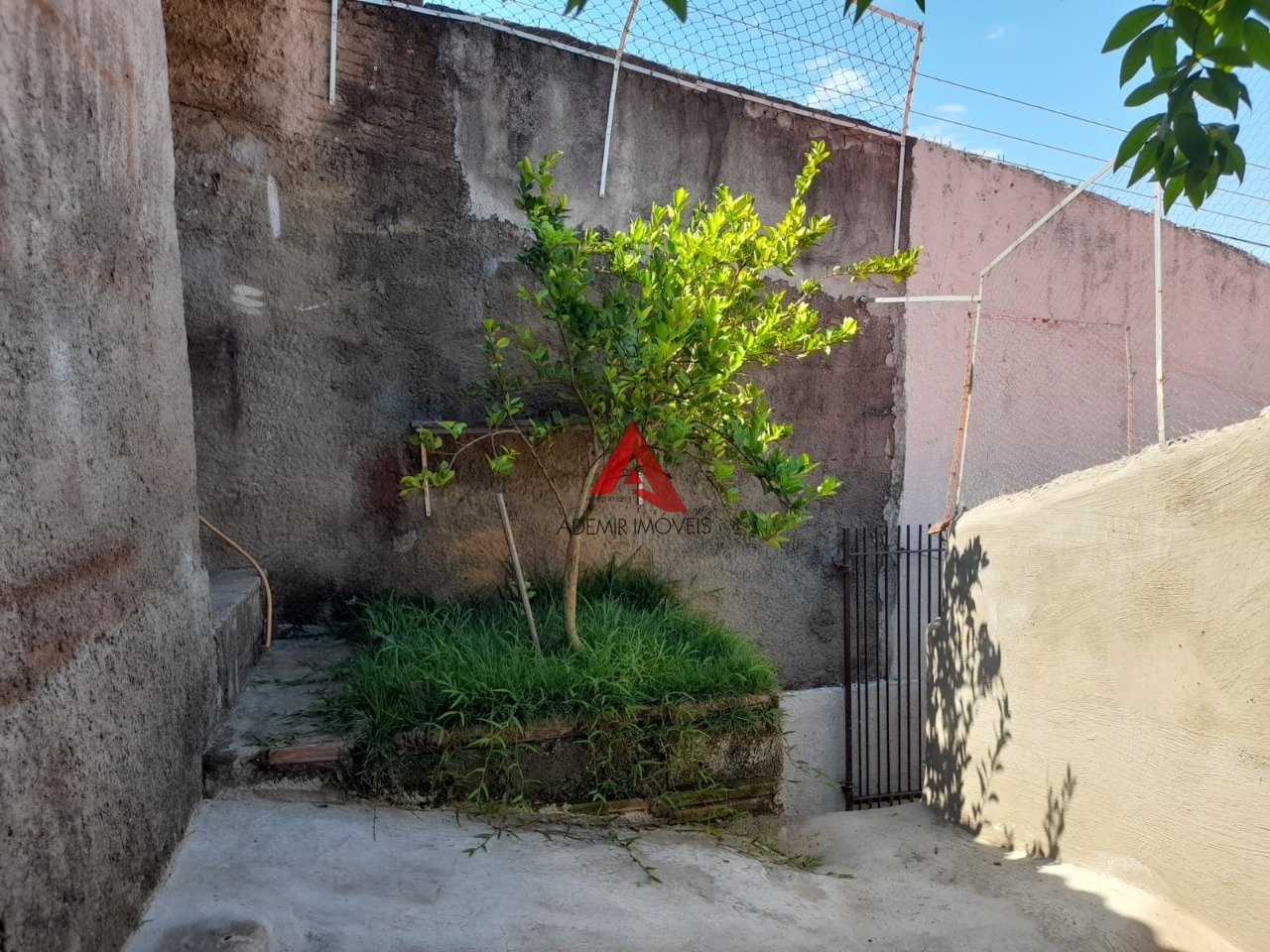 Imagem da propriedade 6849 2