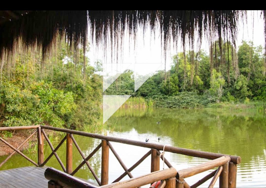 Imagem da propriedade 786 5