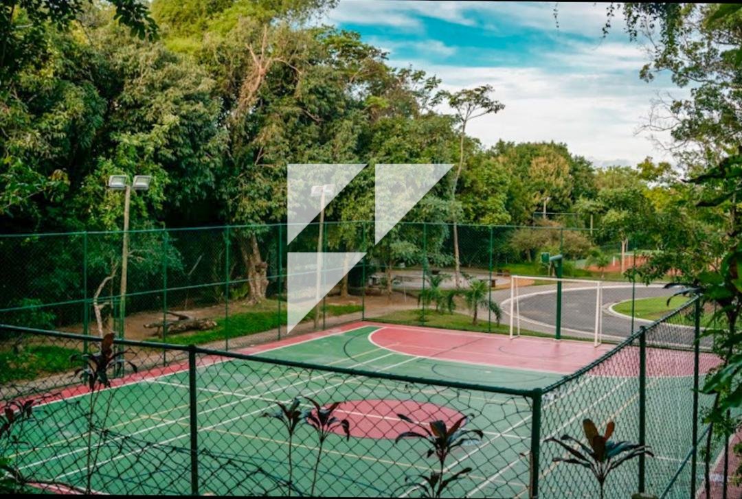 Imagem da propriedade 786 3