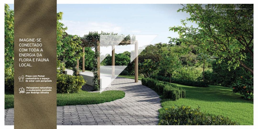 Imagem da propriedade 851 14