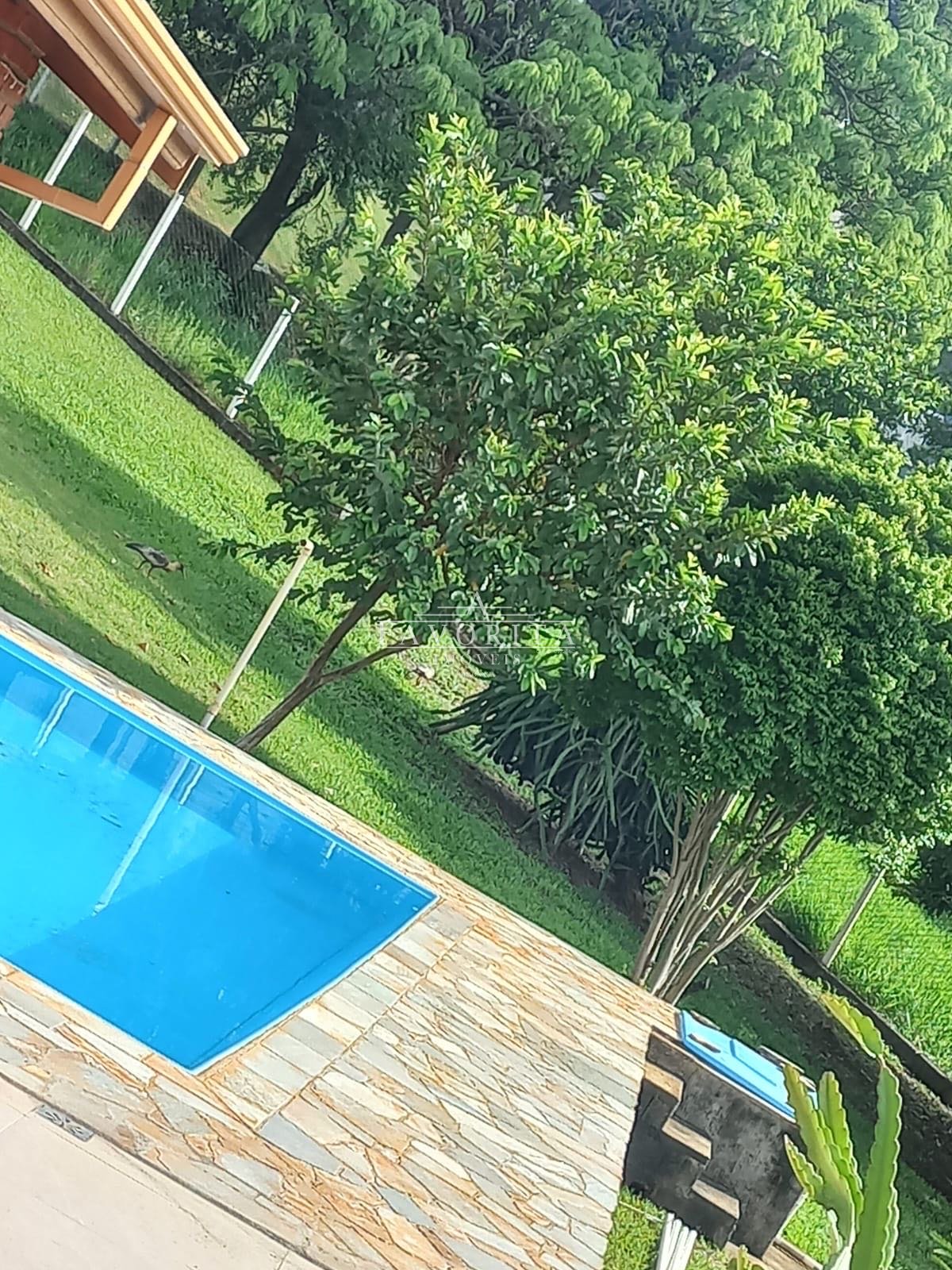 Imagem da propriedade 6