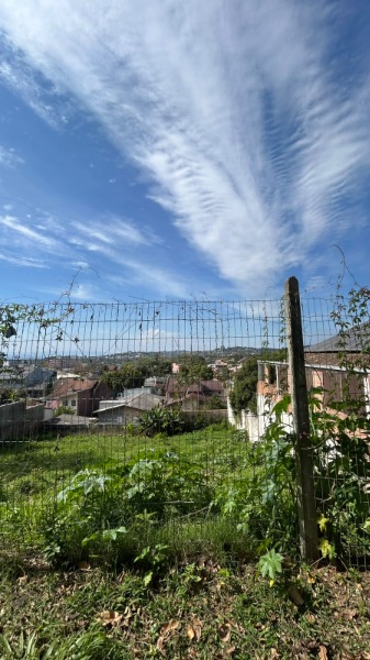 Imagem da propriedade 4