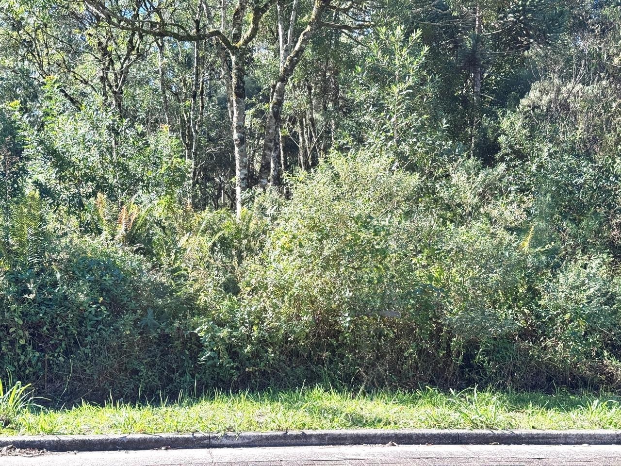 Imagem da propriedade 6