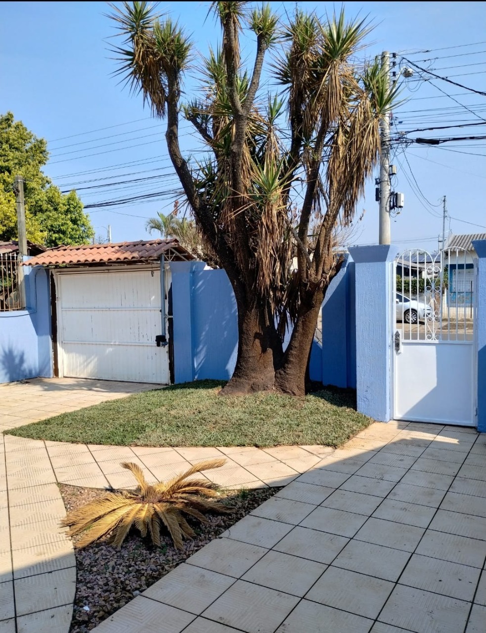 Imagem da propriedade 6