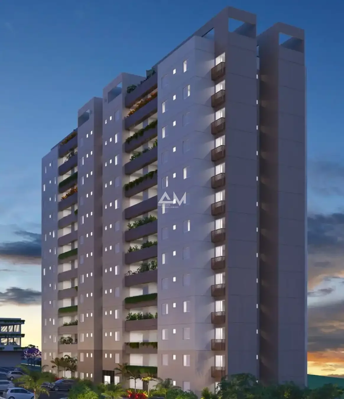 Imagem da propriedade 3