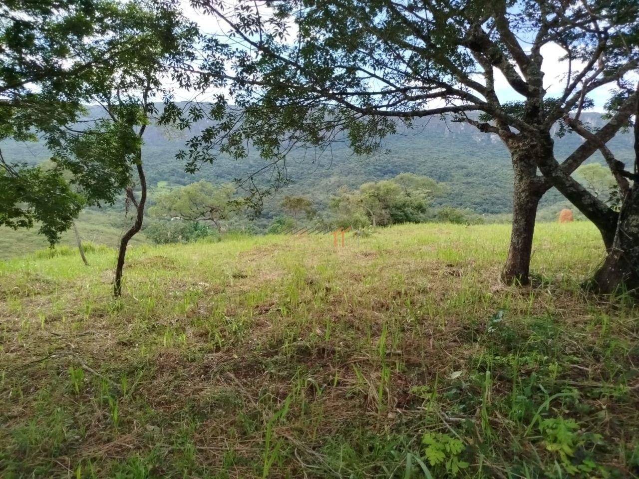 Imagem da propriedade 5