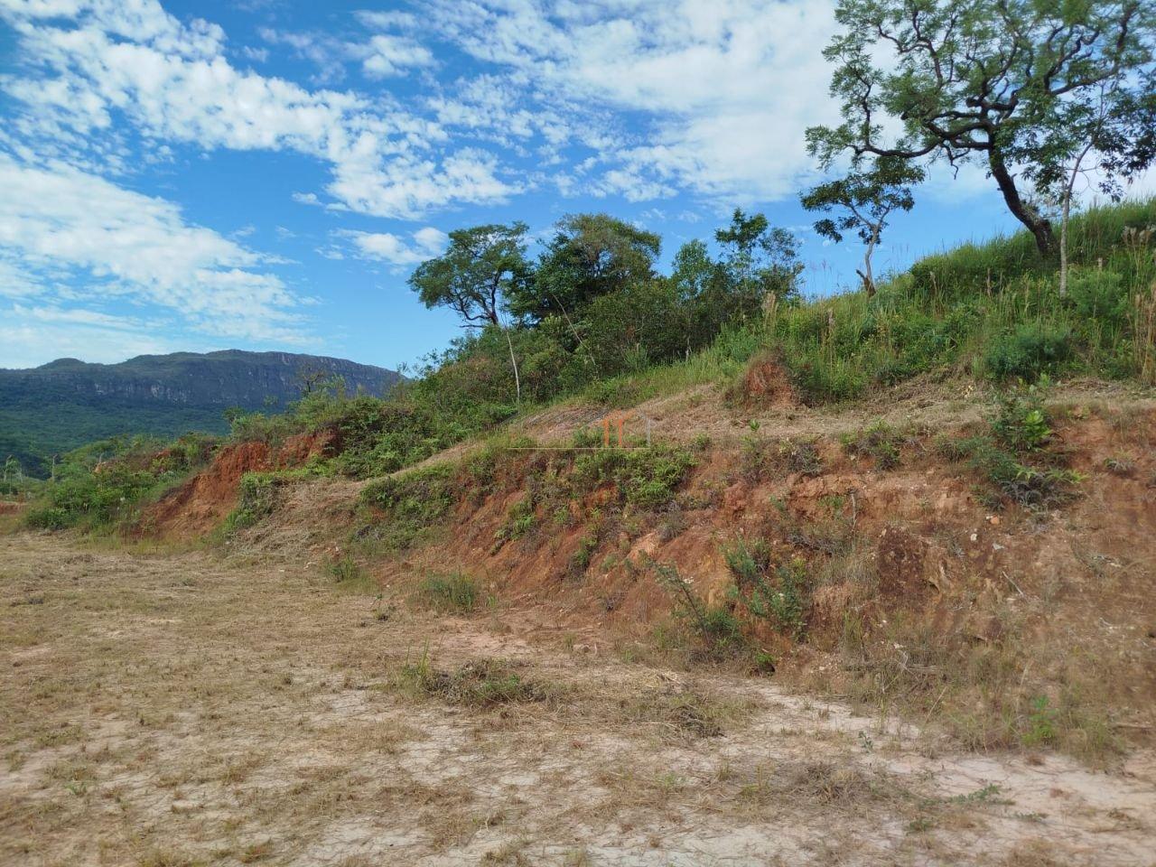 Imagem da propriedade 12