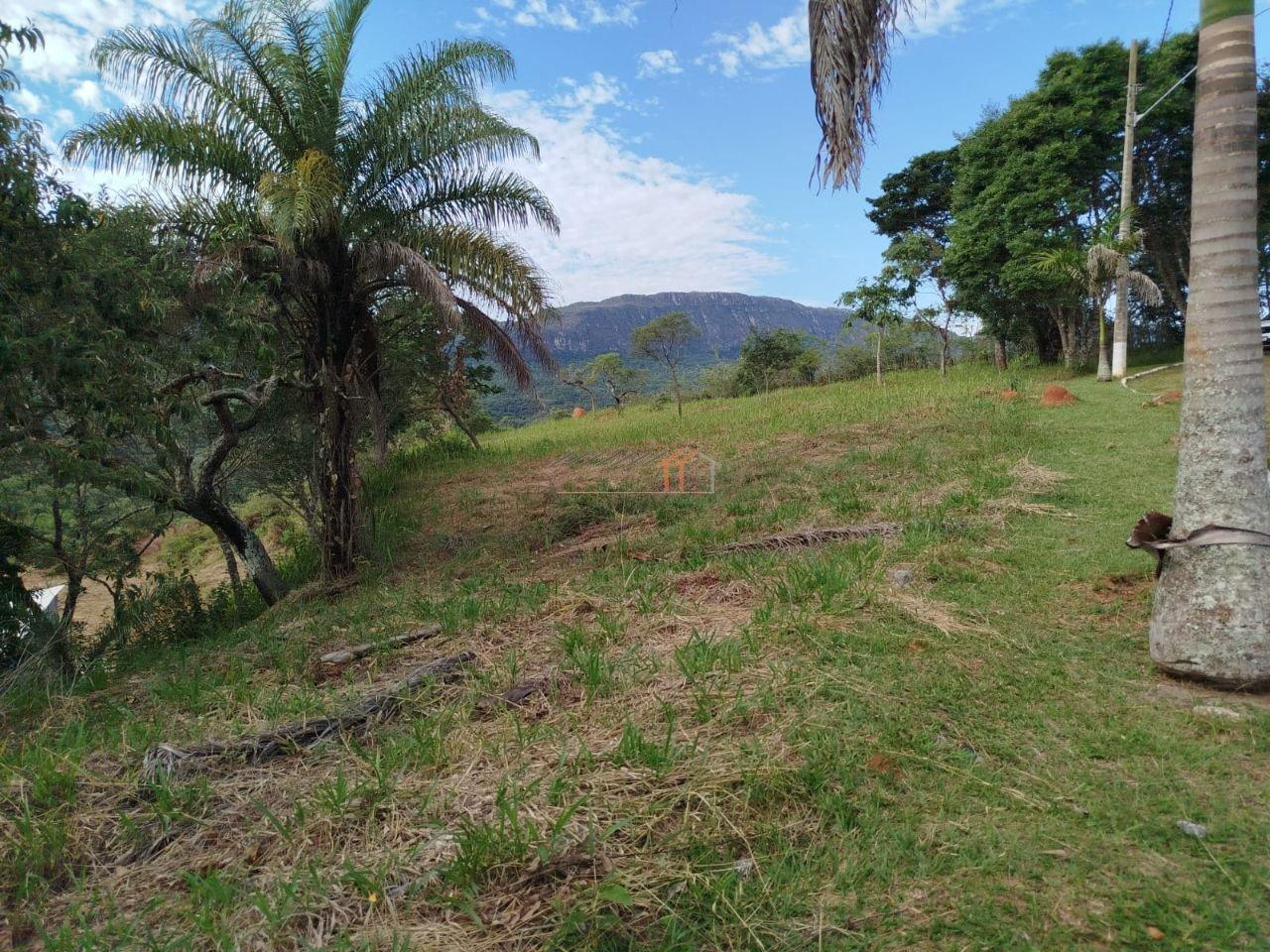 Imagem da propriedade 6