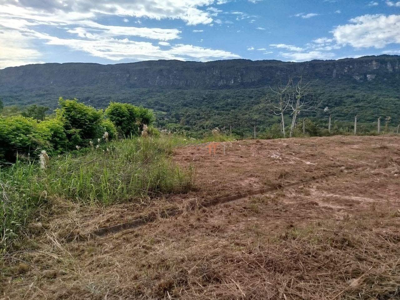 Imagem da propriedade 11