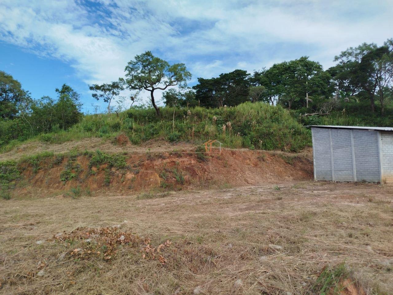 Imagem da propriedade 14