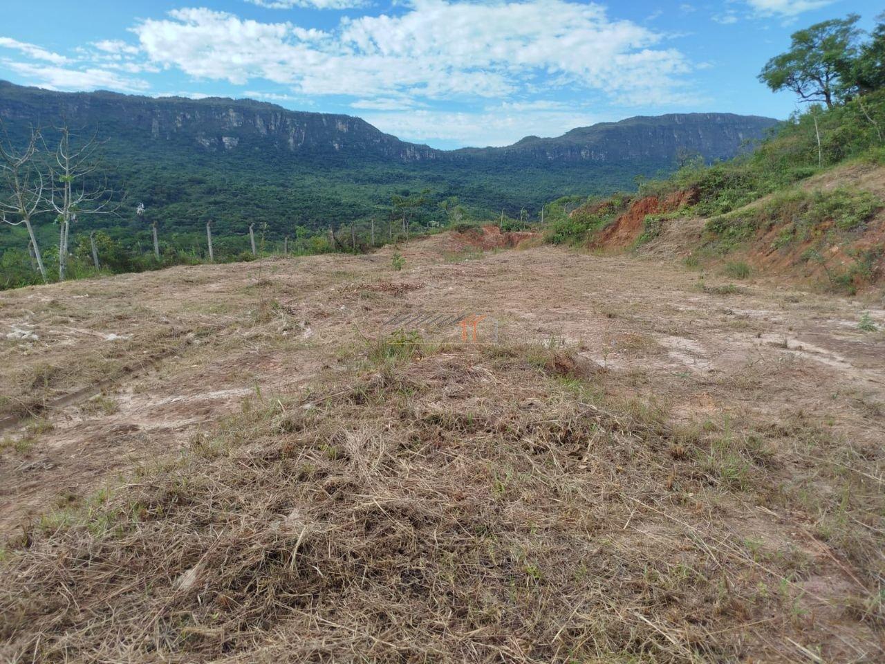 Imagem da propriedade 9