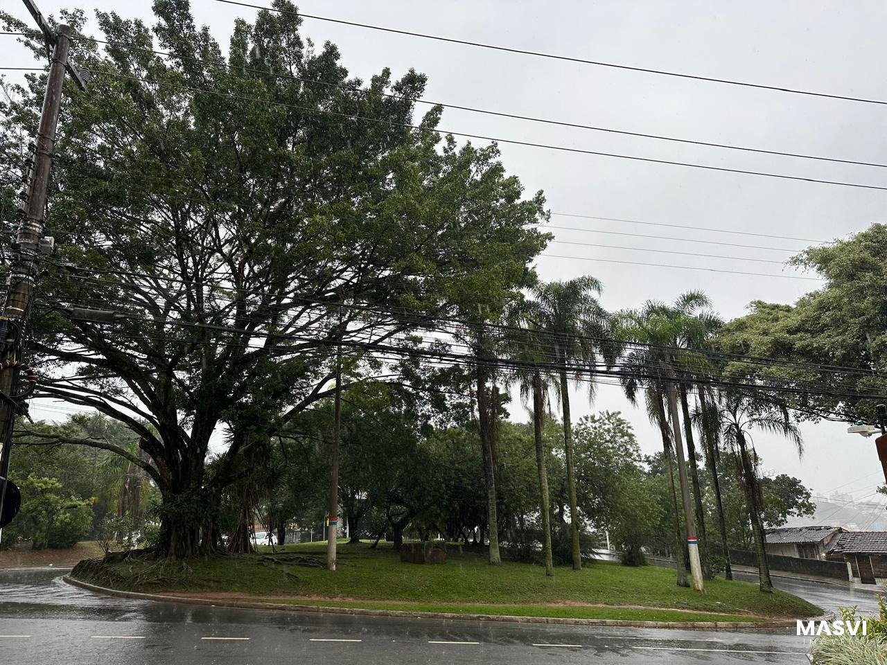 Imagem da propriedade 51