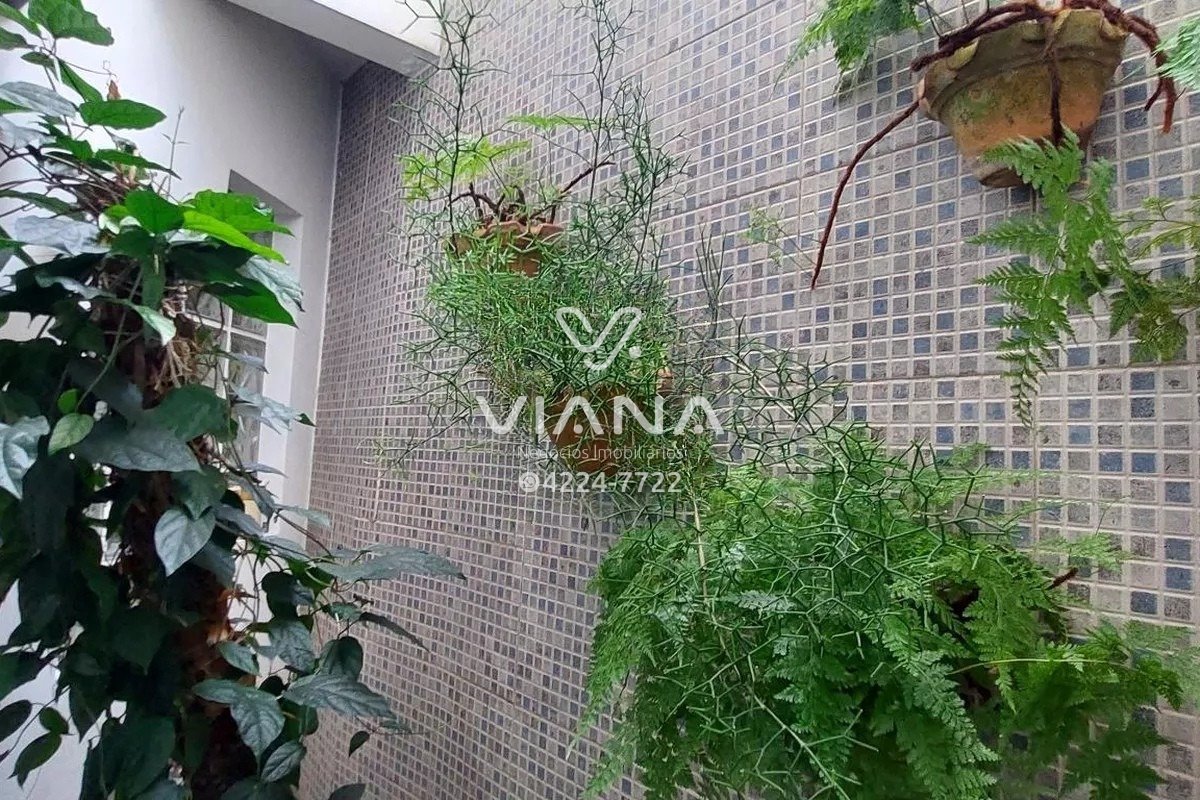 Imagem da propriedade 28