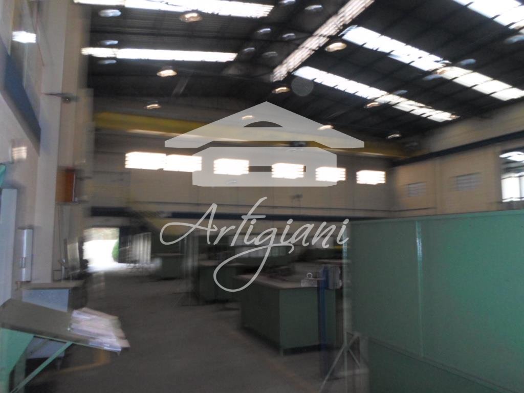 Imagem da propriedade 7