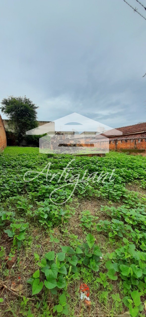 Imagem da propriedade 3