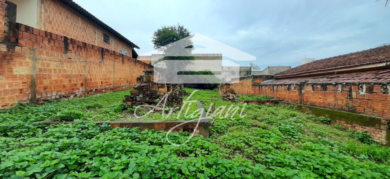 Imagem da propriedade 4