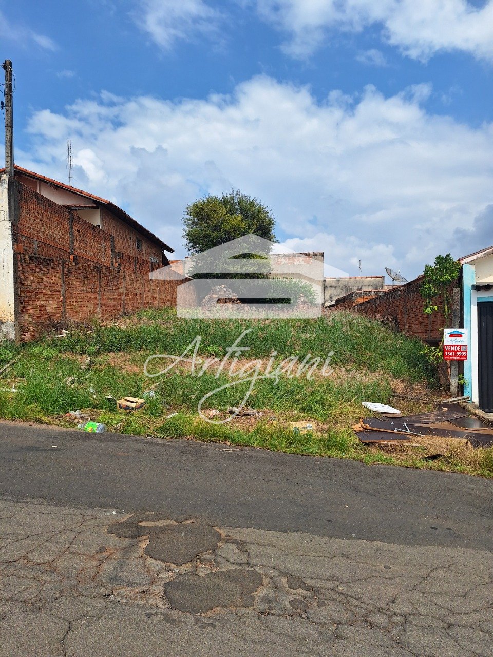 Imagem da propriedade 6