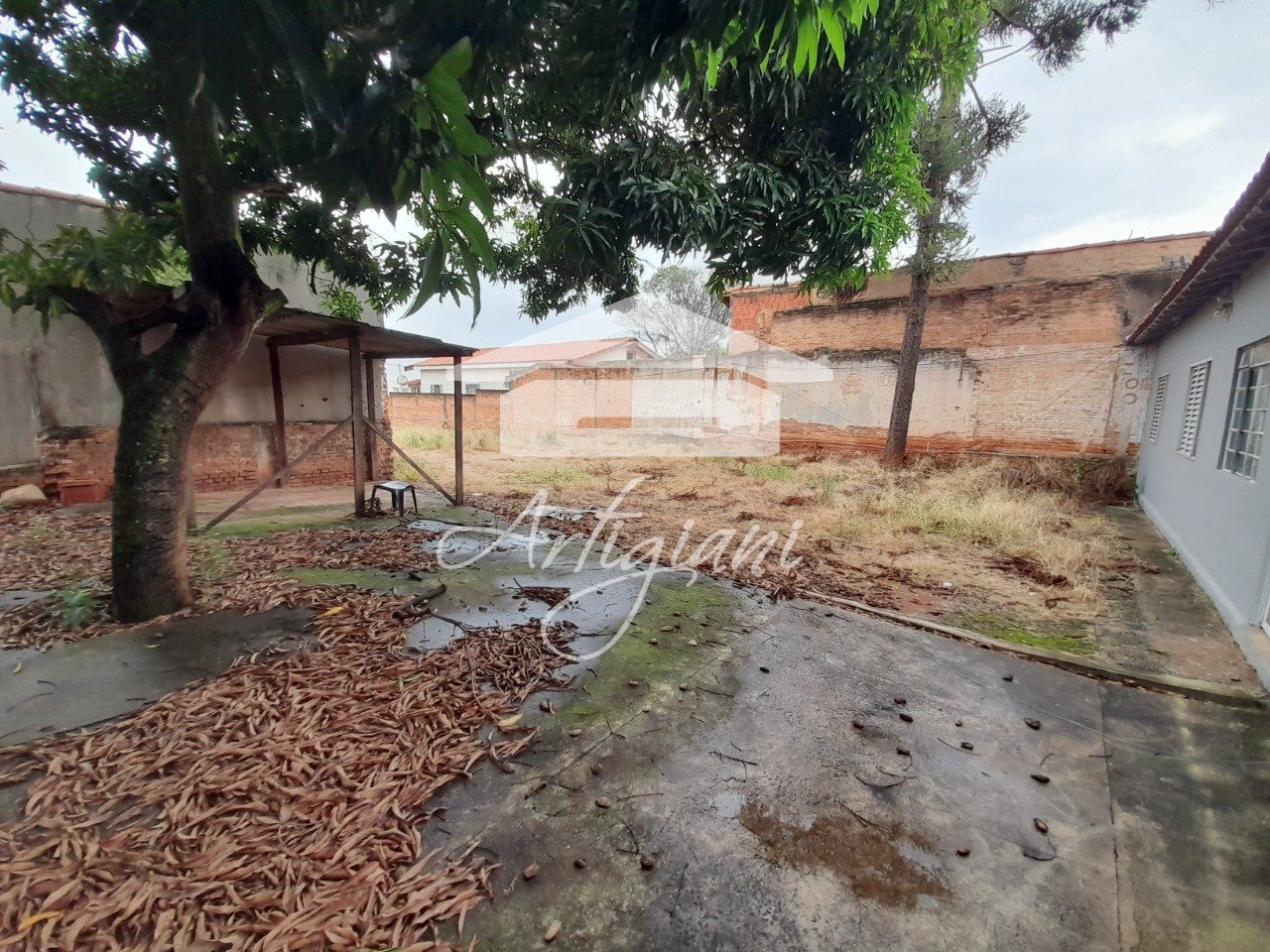 Imagem da propriedade 6