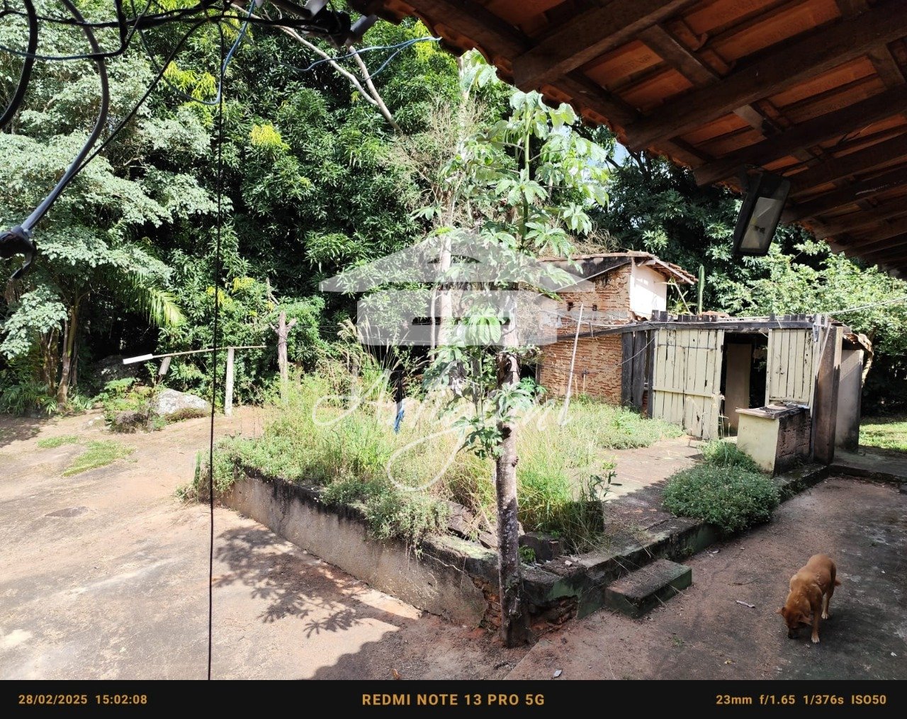 Imagem da propriedade 45