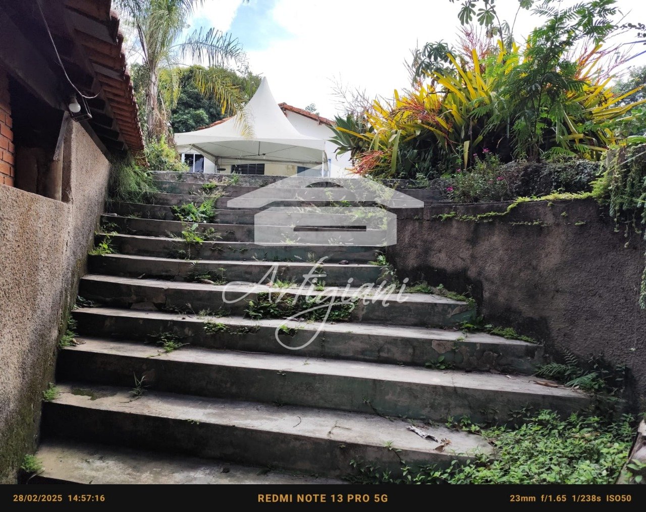 Imagem da propriedade 50