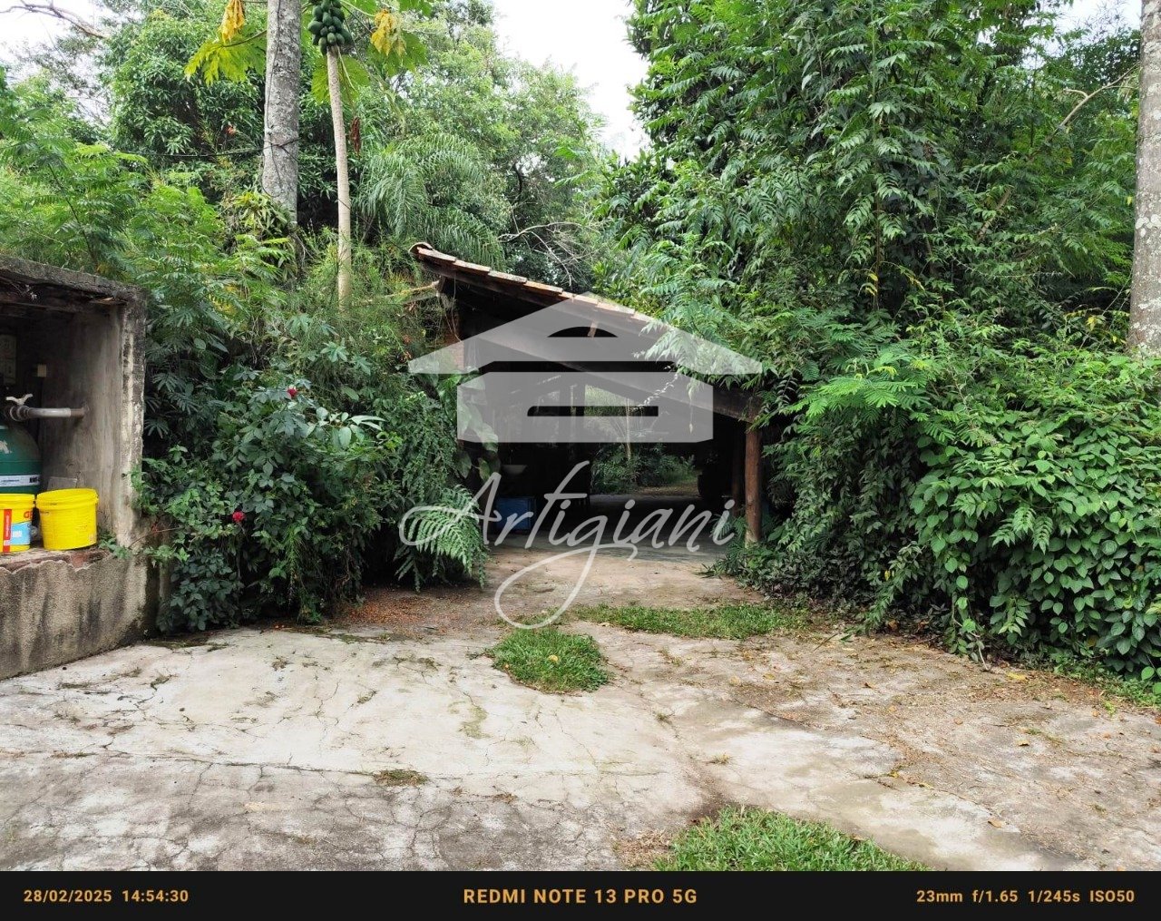 Imagem da propriedade 51