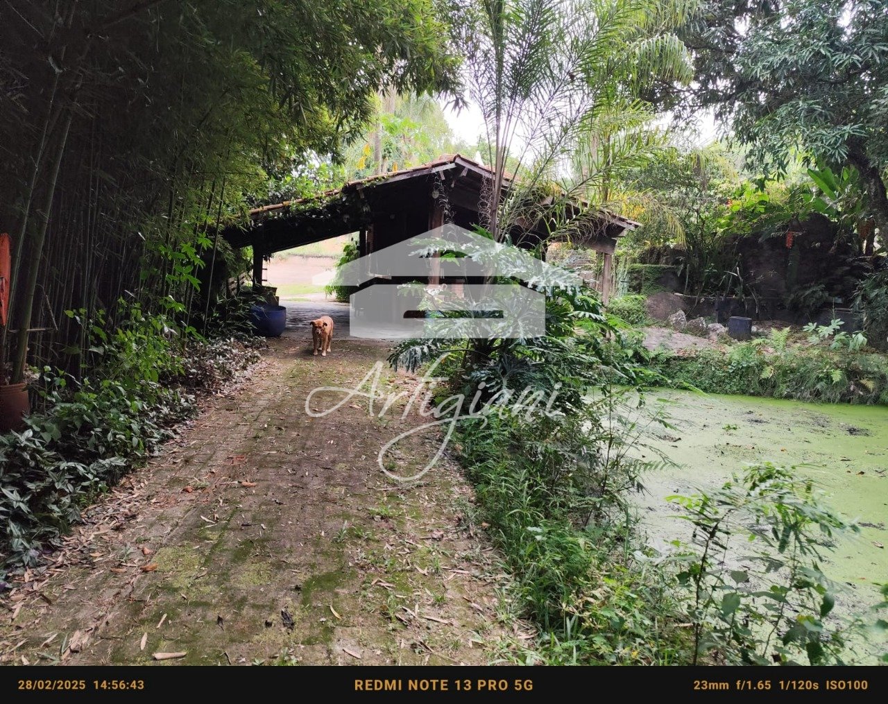 Imagem da propriedade 52