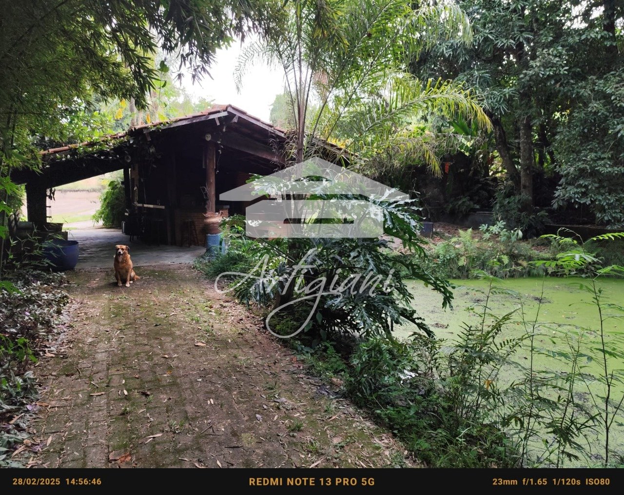 Imagem da propriedade 53