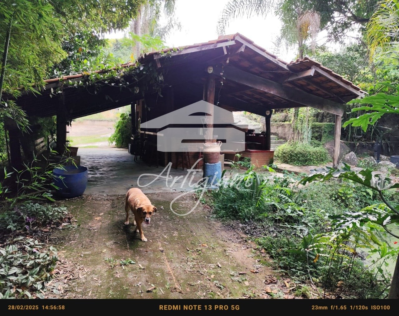 Imagem da propriedade 54