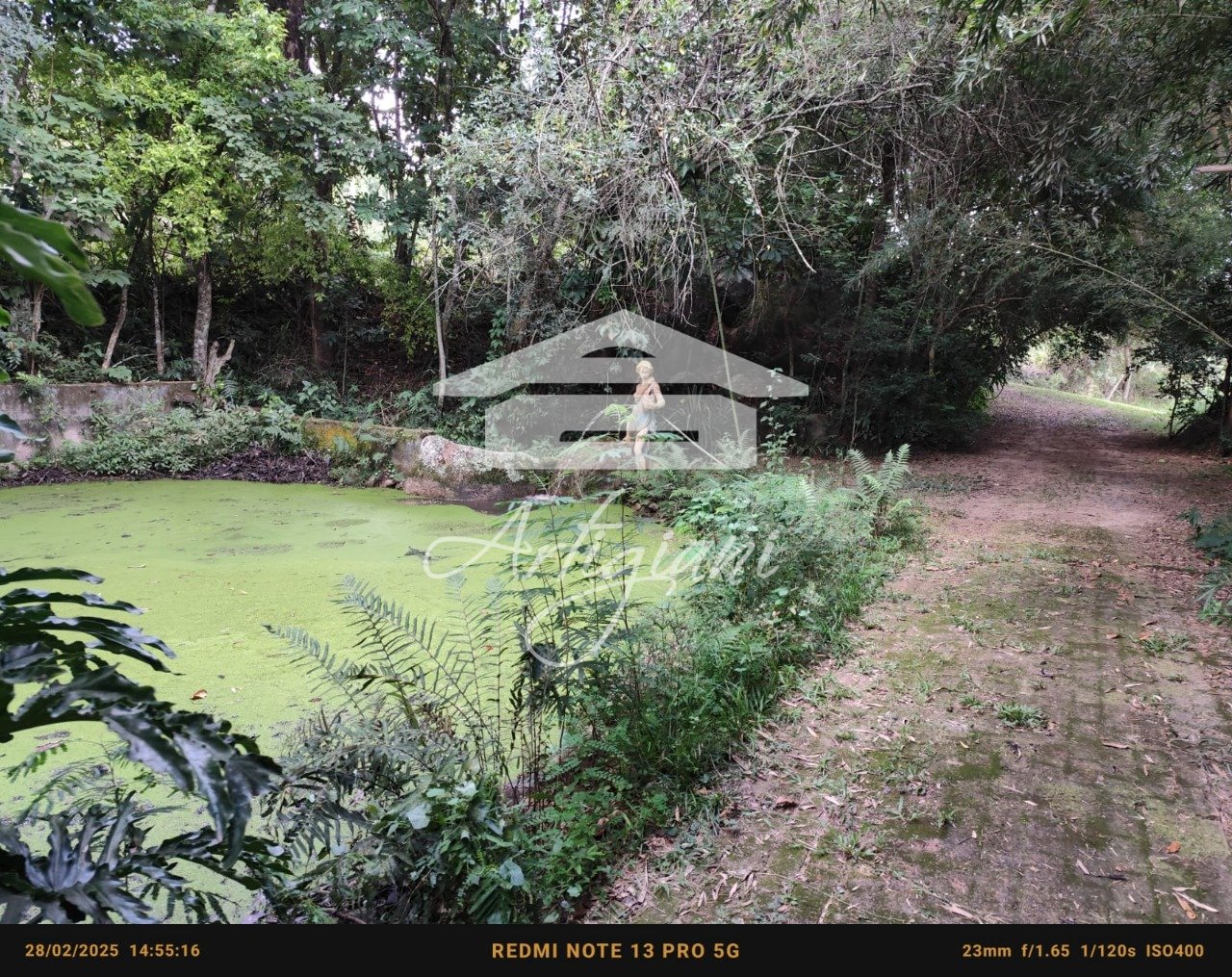 Imagem da propriedade 60