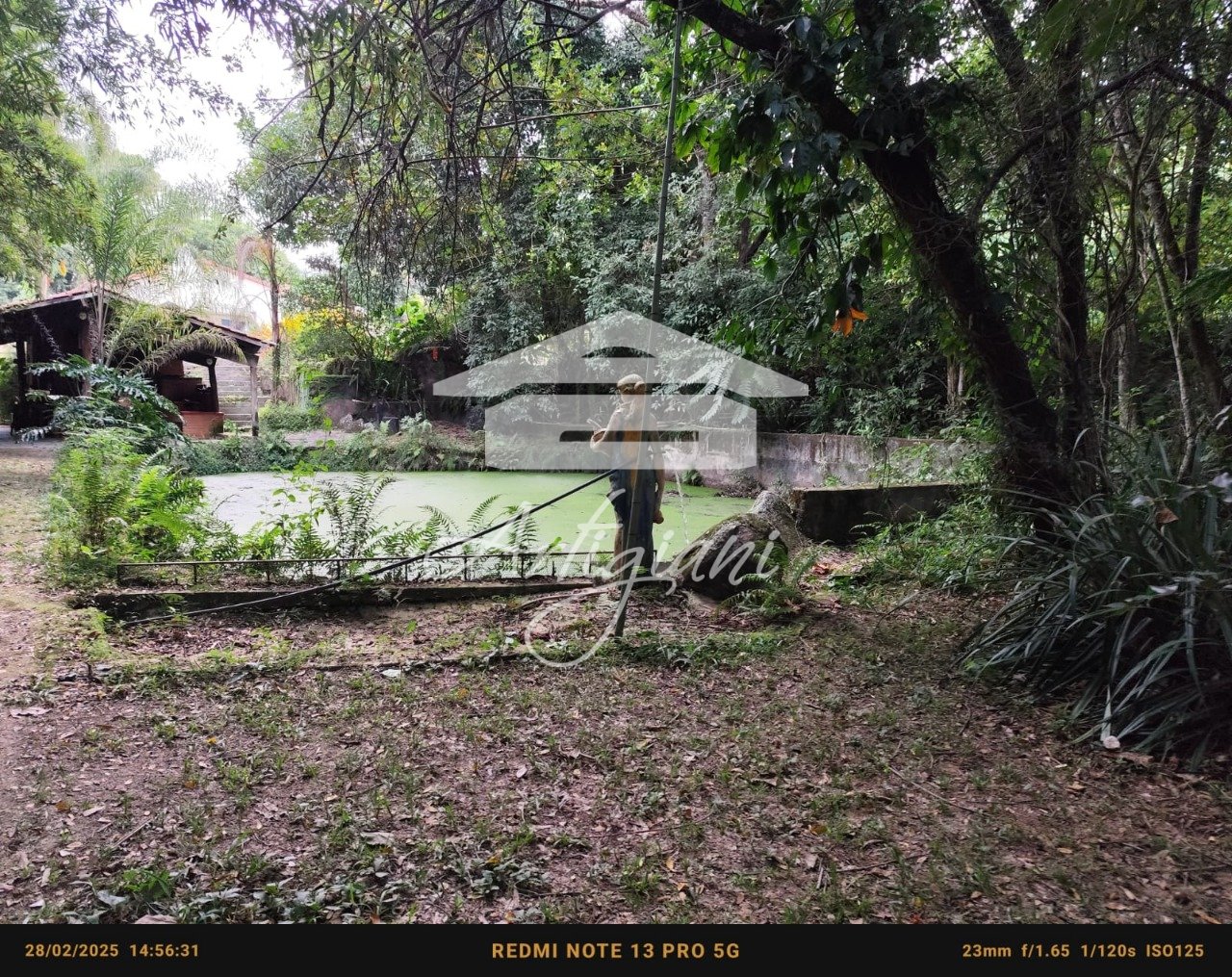 Imagem da propriedade 61