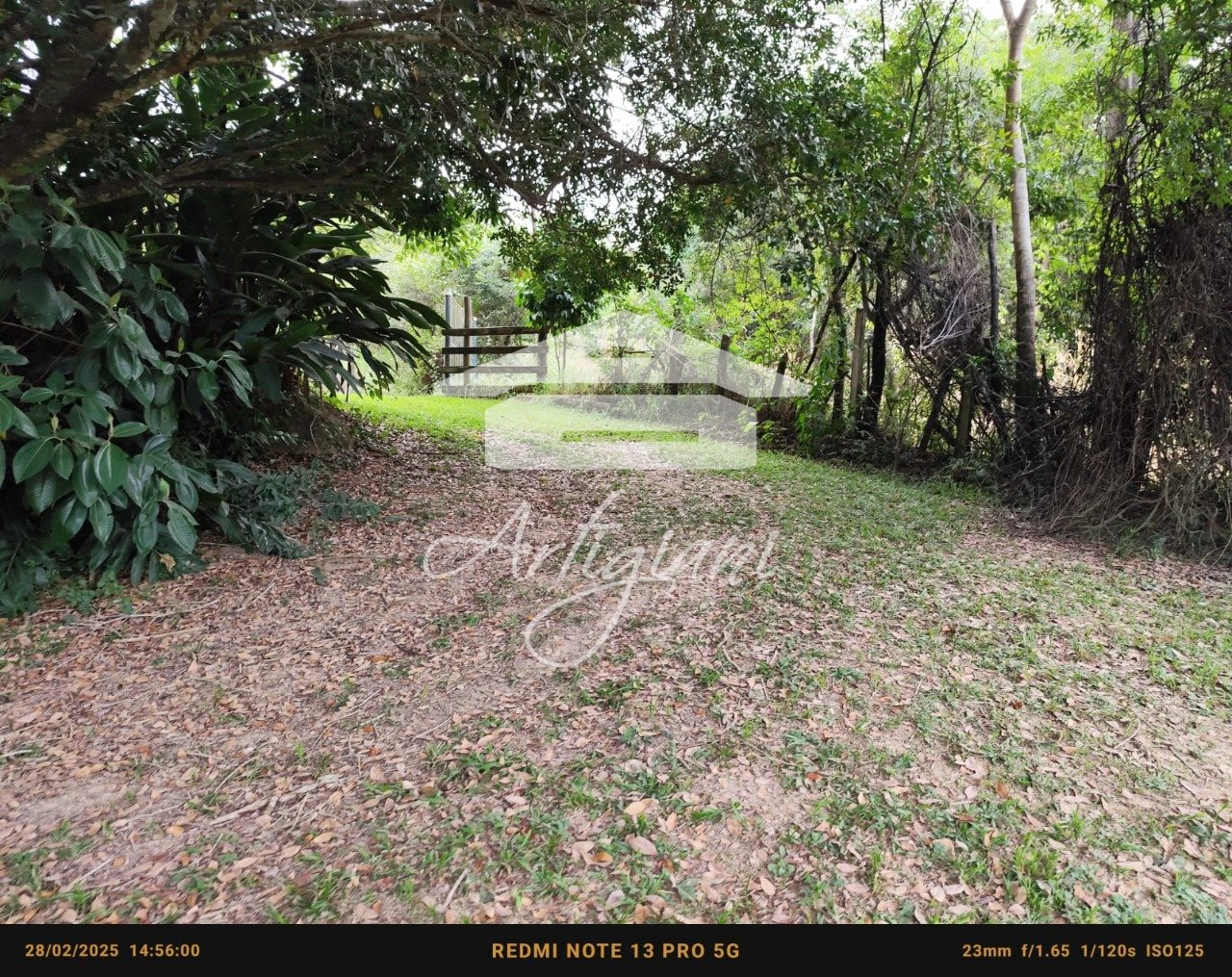 Imagem da propriedade 63