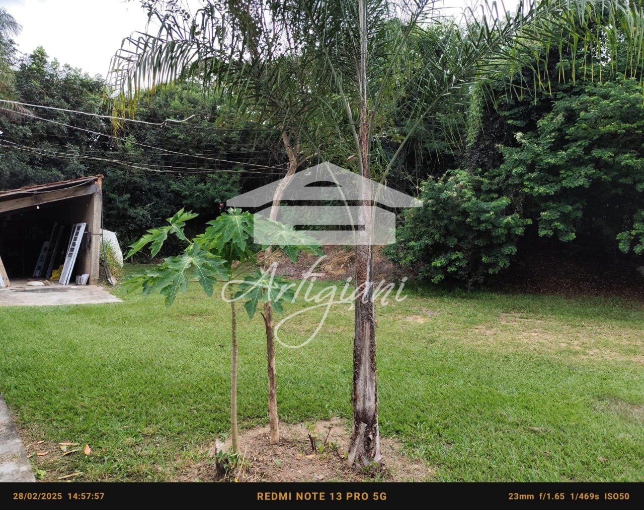 Imagem da propriedade 64