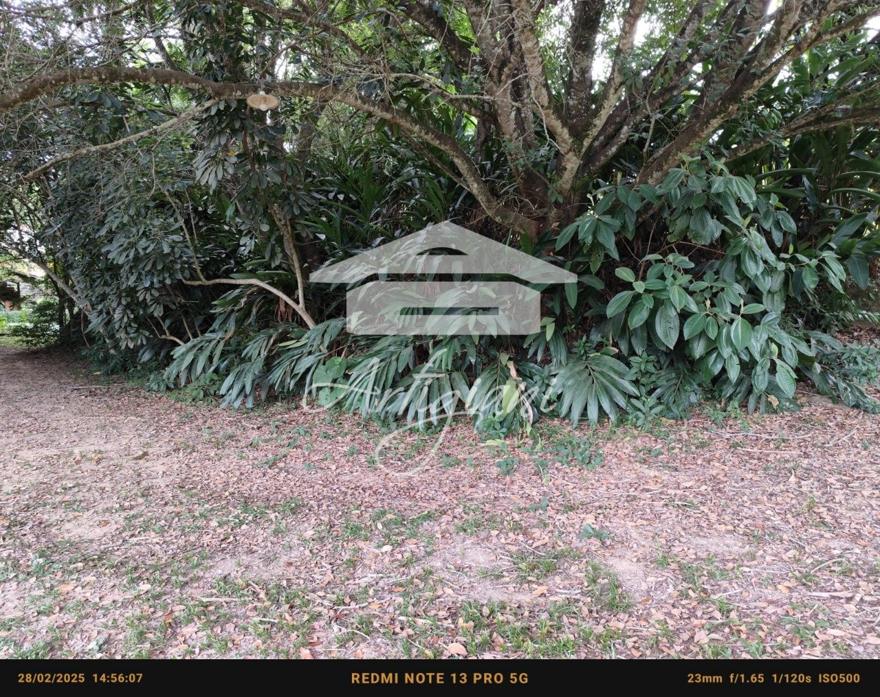 Imagem da propriedade 65