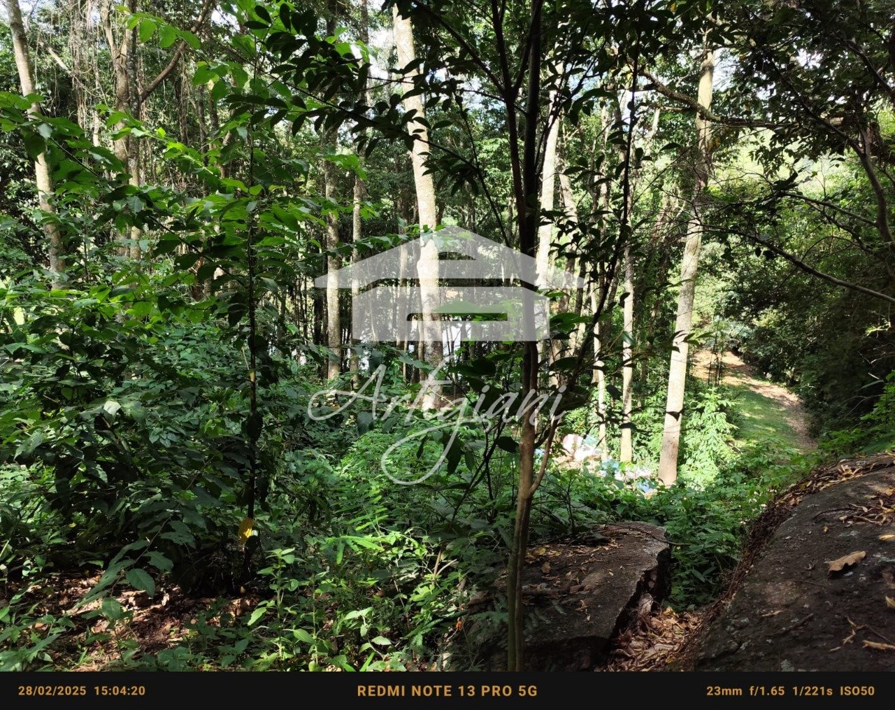 Imagem da propriedade 71