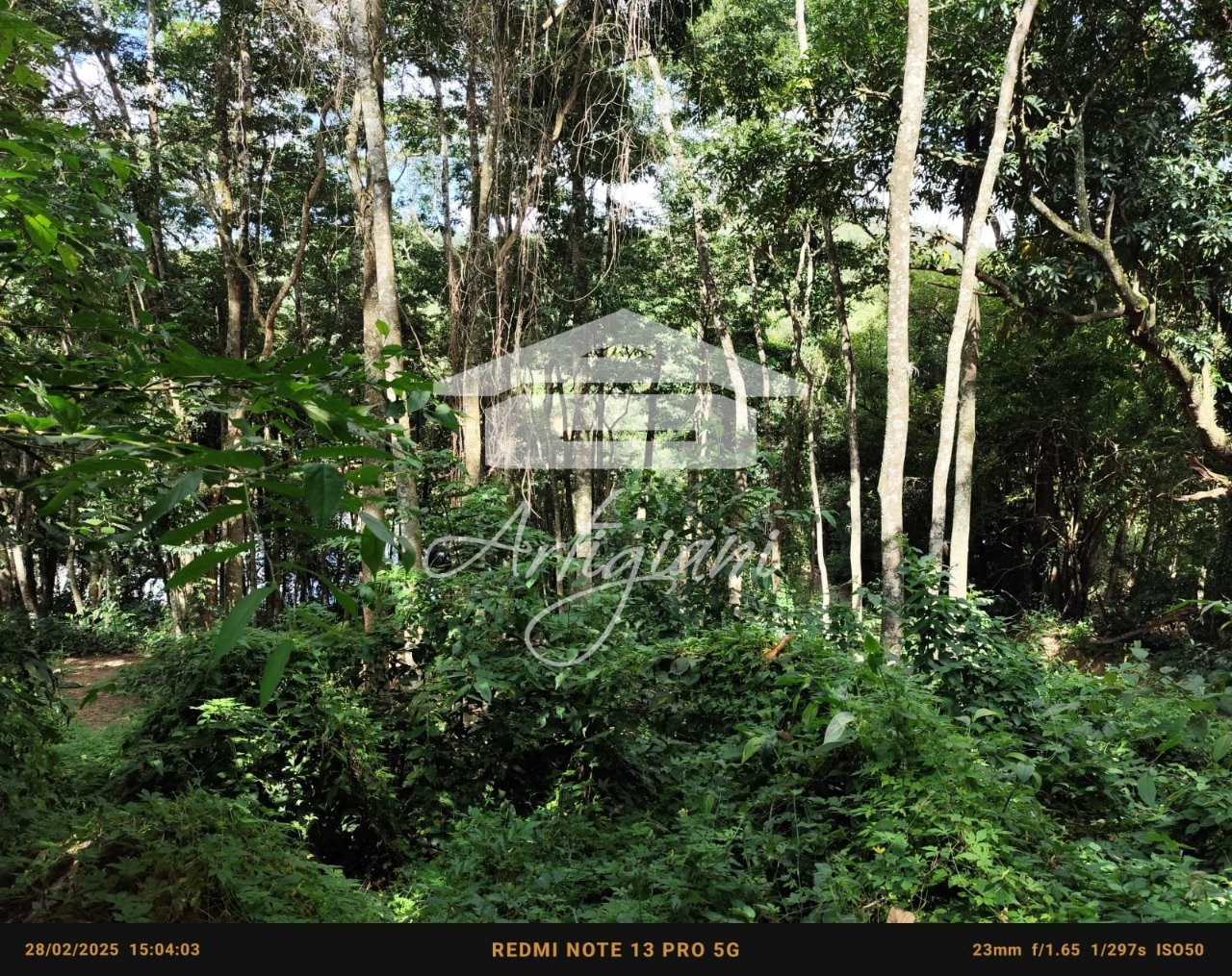 Imagem da propriedade 72