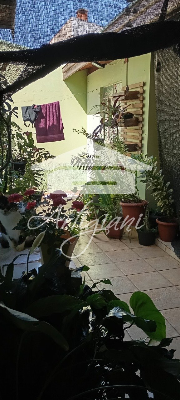 Imagem da propriedade 28