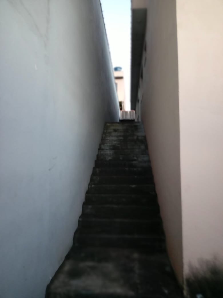Imagem da propriedade 3