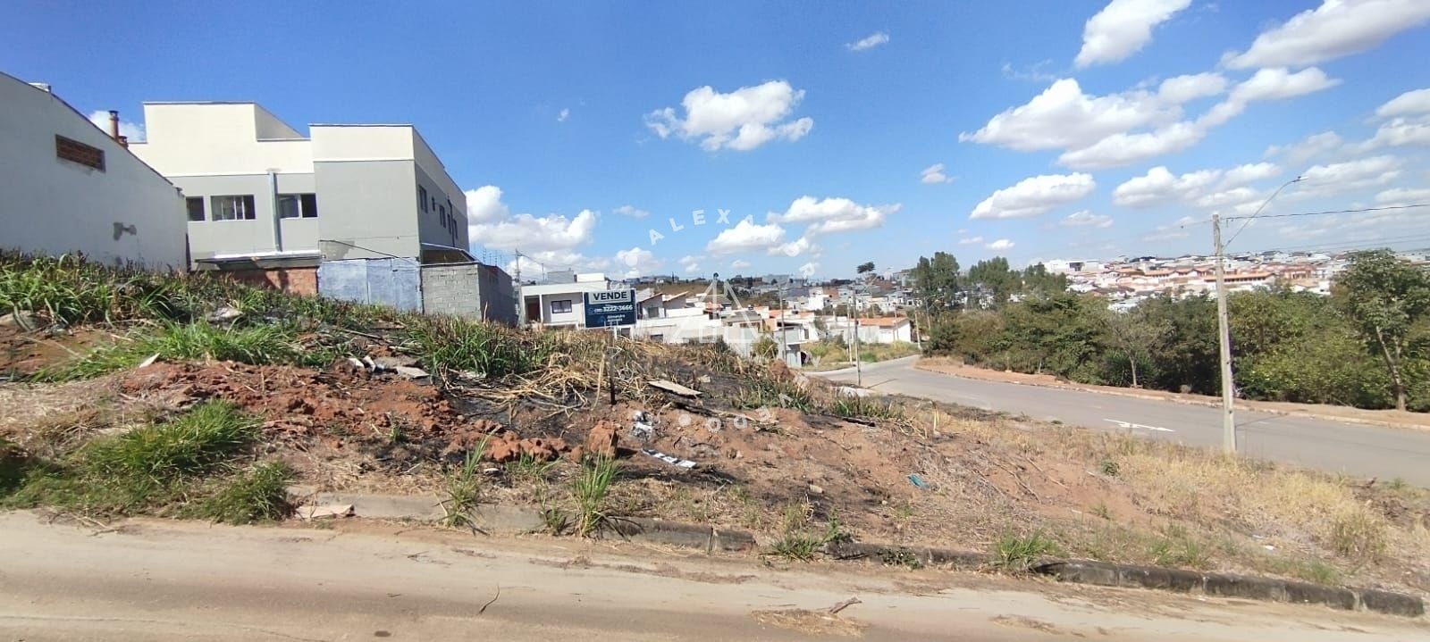 Imagem da propriedade 4