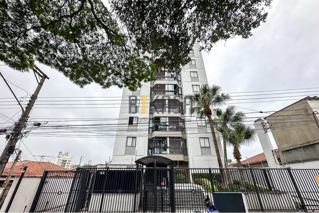 Imagem da propriedade 2