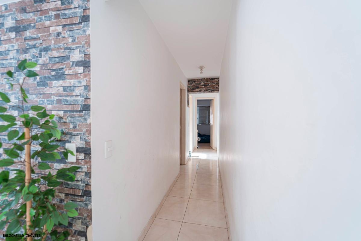 Imagem da propriedade 14