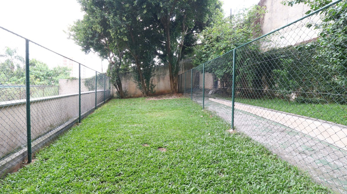 Imagem da propriedade 10