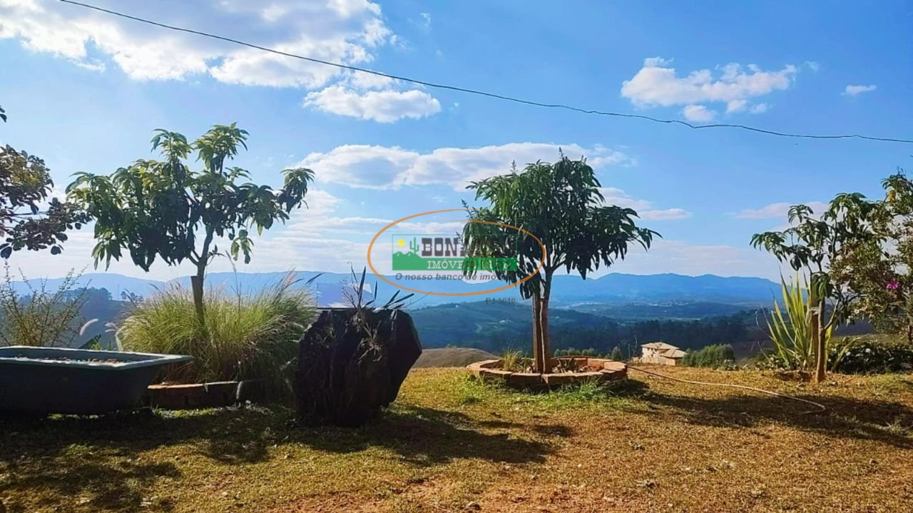 Imagem da propriedade 3