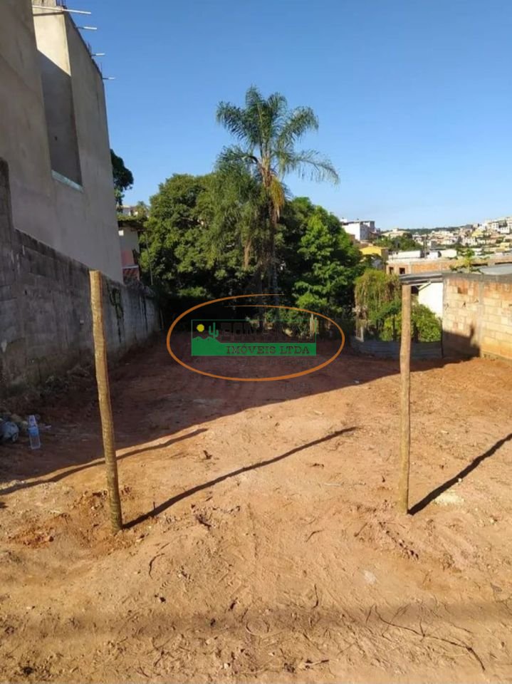 Imagem da propriedade 3