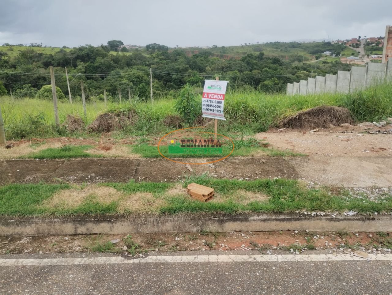 Imagem da propriedade 2