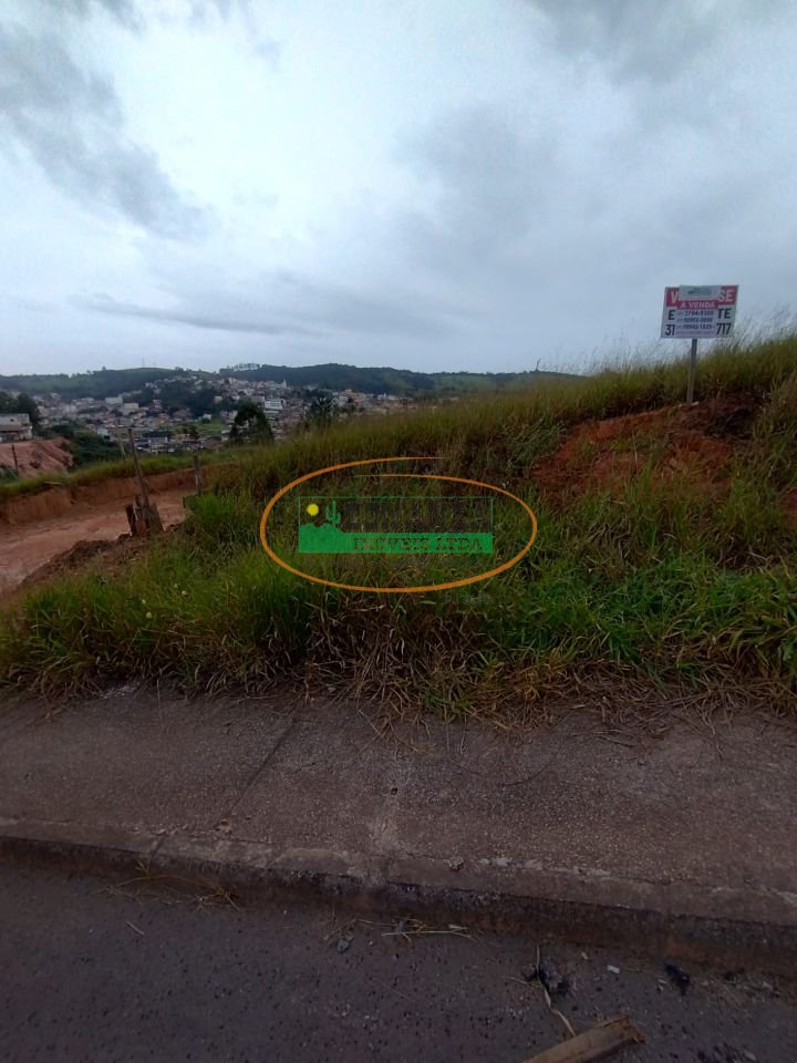 Imagem da propriedade 5