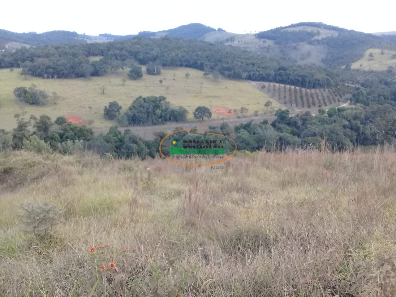 Imagem da propriedade 4