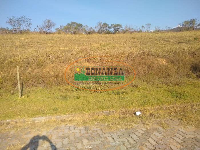 Imagem da propriedade 3