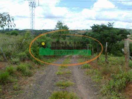 Imagem da propriedade 3