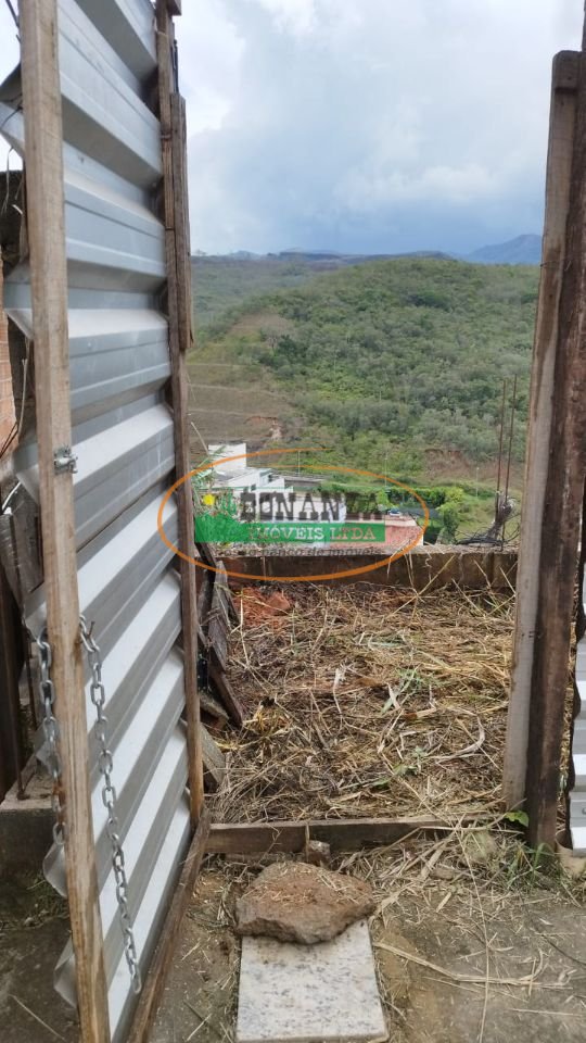 Imagem da propriedade 3
