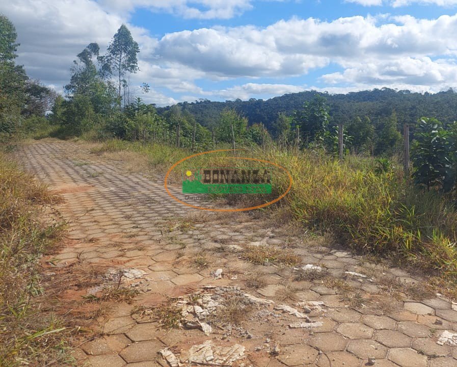 Imagem da propriedade 5